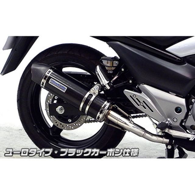 WirusWin GSR250（JBK-GJ55D）用 スリップオンマフラー ユーロタイプ サイレンサー ブラックカーボン仕様 ウイルズウィン マフラー本体 GSR250 33,434円