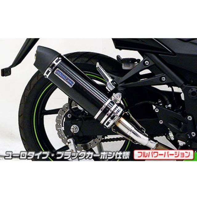WirusWin Ninja250R(JBK-EX250K)用スリップオンマフラー ユーロタイプ フルパワーバージョン サイレンサー ブラックカーボン仕様 ウイルズウィン マフラー本体 Ninja250R|パークアップ 店