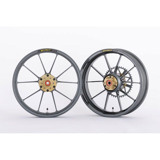 ADVANTAGE ADVANTAGE EXACT II RACING 10 フル鍛造アルミホイール 275/450-18 カラー ガンメタ 5410R-S003-2SR アドバンテージ ホイール本体 GSX-R1100J GSX-R1100G