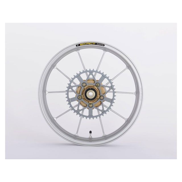 ADVANTAGE ADVANTAGE EXACT II RACING 10 フル鍛造アルミホイール 275/450-18 カラー シルバー 5410R-S003-2SS アドバンテージ ホイール本体 GSX-R1100J GSX-R1100G