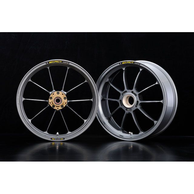 ADVANTAGE ADVANTAGE EXACT RACING 10 フル鍛造マグネシウームホイール(ガンメタ:350/600-17) 5410R-D013-SR アドバンテージ ホイール本体|パークアップ 店