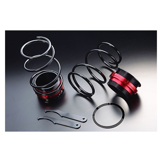 ダイハツ ミラジーノ リア車高調キット RKD3 シュピーゲル Spiegel 1059412-2281798.jpg