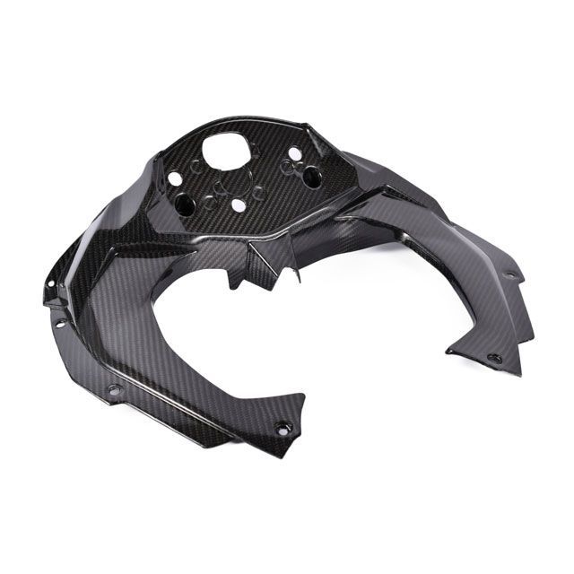 SPEEDRA ニンジャZX-25R メーターカバー ドライカーボン 仕様