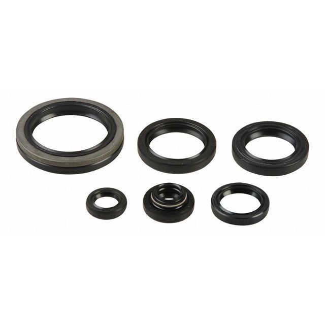 SALE/65%OFF】 ATHENA WR250R WR250X ボアアップキット 83mm 290cc レース専用 アテナ tdh-latinoamerica.de