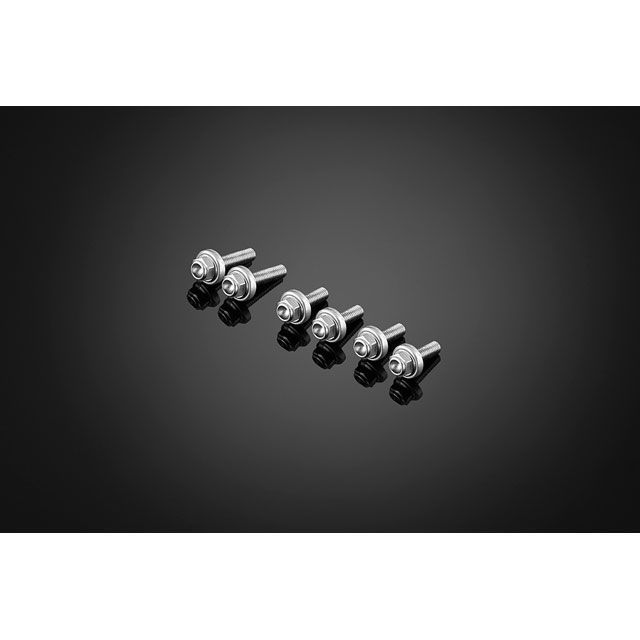 楽天市場】S-PARTS エスパーツ スクリーン用チタンボルトセット ZX-4R