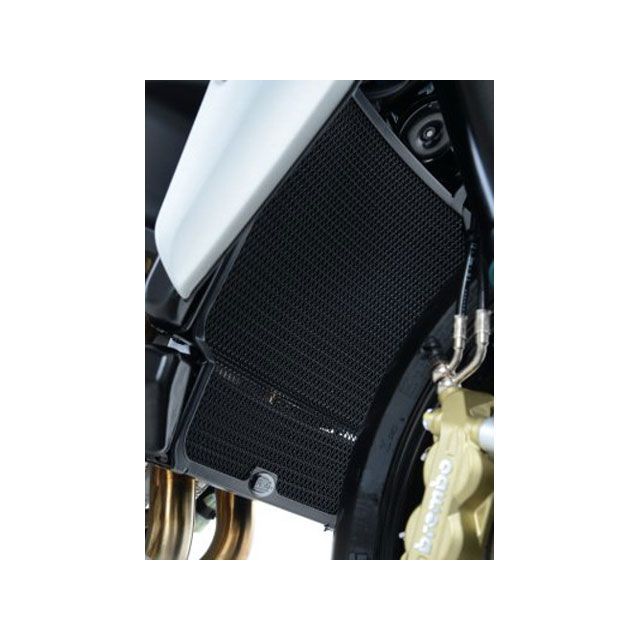 R&G ラジエターガード チタンカラー RG-RAD0175TI アールアンドジー ラジエター関連パーツ Dragster800|パークアップ 店
