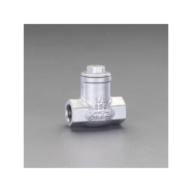 正規取扱店 DAISHIN工具箱エスコ ESCO スイングチャッキバルブ フランジ型 EA465AB-10 I180107 エスロン スイングチャッキバルブ PVC製 フランジ式 50A SCV50