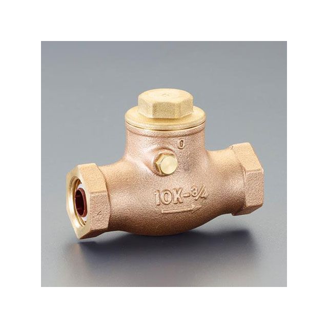 ESCO Rc 3/4” スイングチャッキバルブ（水用/青銅製） EA465BC-6 エスコ 仕事場物の具