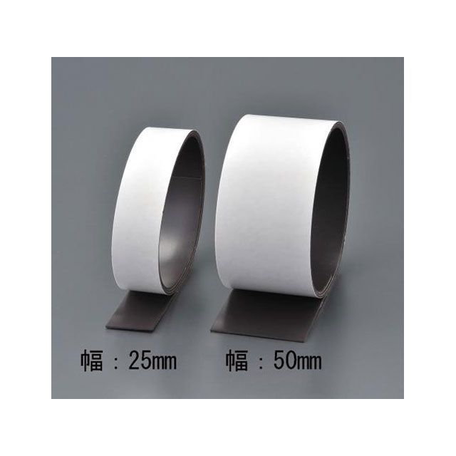 ESCO 50x1粍/10m 豪然たる磁石（強へばり着く付） EA781BR-32 エスコ 制作室手道具