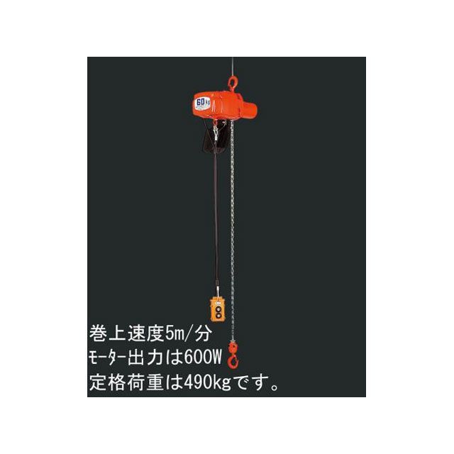 ESCO AC100V/490kgx 5m 電動チェーンブロック EA987DA-9 エスコ 作業場工具｜パークアップ 店
