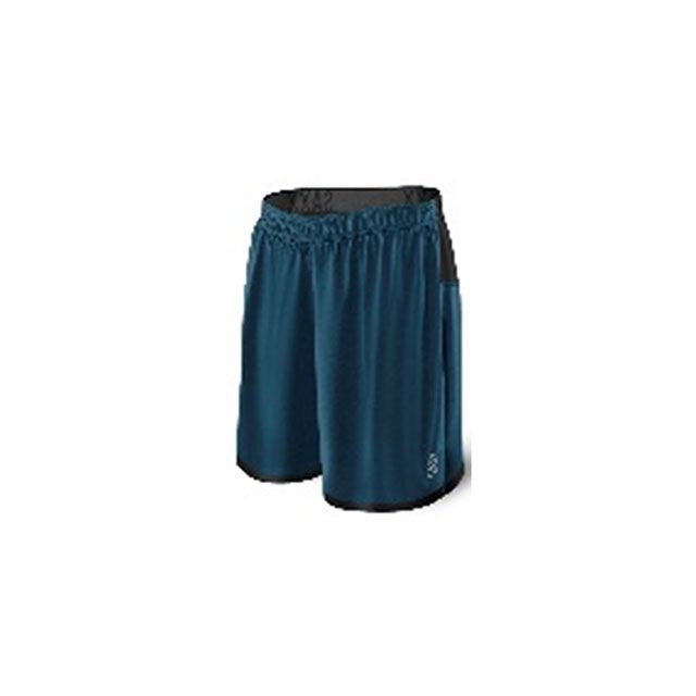 SAXX SXRU28 PILOT 2N1 SHORTS BSH サイズ L SXRU28 サックス カジュアルウェア