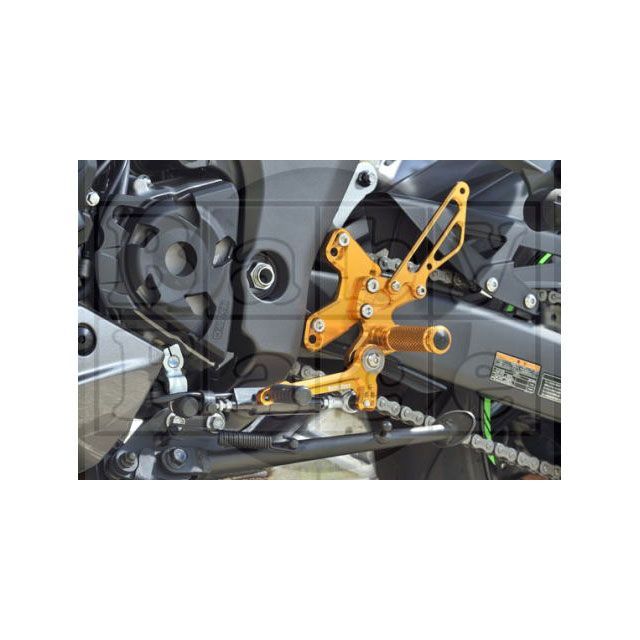BABYFACE バックステップキット カラー シルバー 002-K041SV ベビーフェイス バックステップ関連パーツ Ninja1000SX