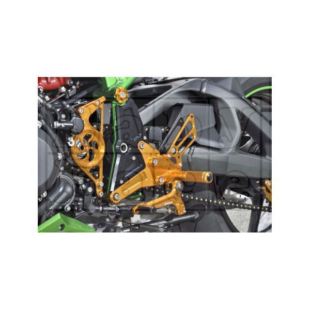 BABYFACE パフォーマンスステップキット(シルバー) 002-K046SV ベビーフェイス バックステップ関連パーツ Z-H2|パークアップ 店
