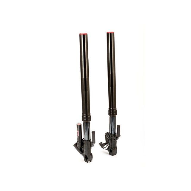 楽天市場】ADVANTAGE SHOWA(アドバンテージ ショーワ) フロント