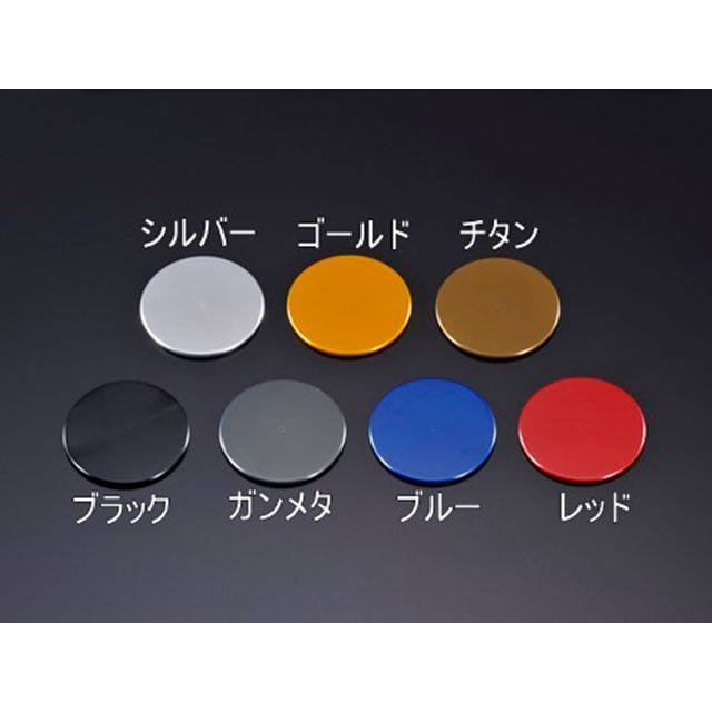 90%OFF!】 AGRAS ニンジャZX-10R ラジエター関連パーツ フロント 