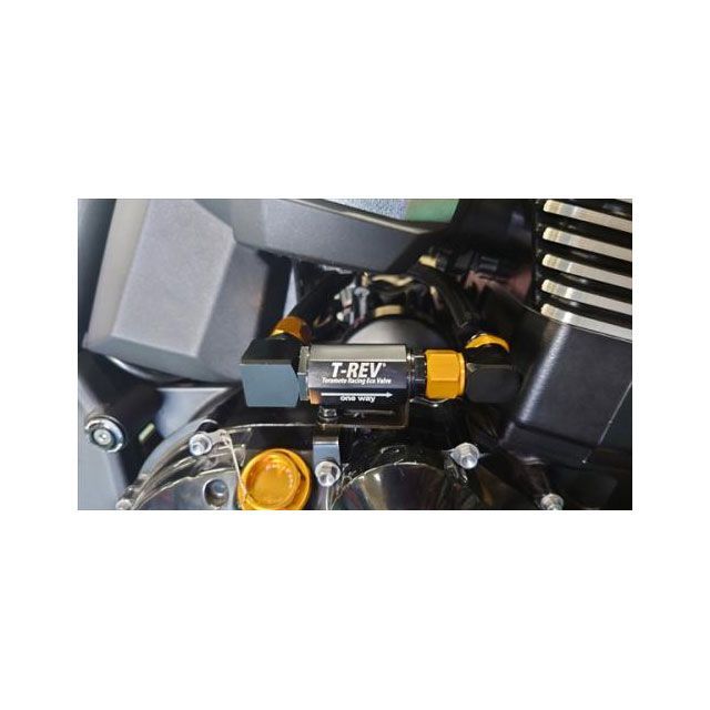 テラモト ZRX1200ダエグ T−REVαシステムSPフルキットZRX1200DAEG（ブラック） TERAMOTO バイク用品 