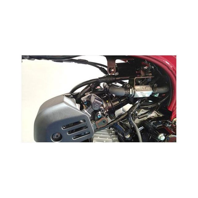 楽天市場】テラモト T-REVmini Dax125 JB04 SPキット（チタン