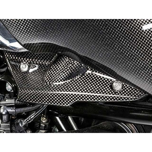 Wunderlich カーボンインダクションパイプカバー W45050-200 ワンダーリッヒ ドレスアップ・カバー RnineT