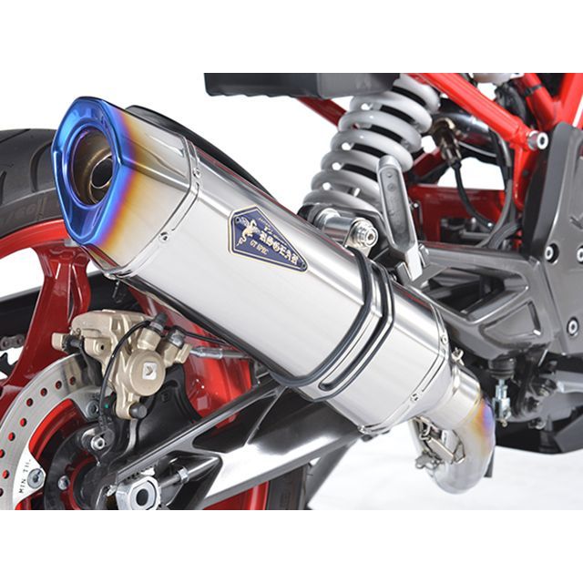 R’s GEAR GTSPEC FullEx(チタンポリッシュ) GB24-T1ST アールズギア マフラー本体 G310GS G310 R|パークアップ 店