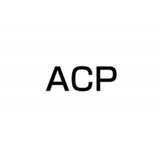 ACP GS400 エルサウンド ショート管 カラー ブラック MF0018 ACP マフラー本体 GS400|パークアップ 店
