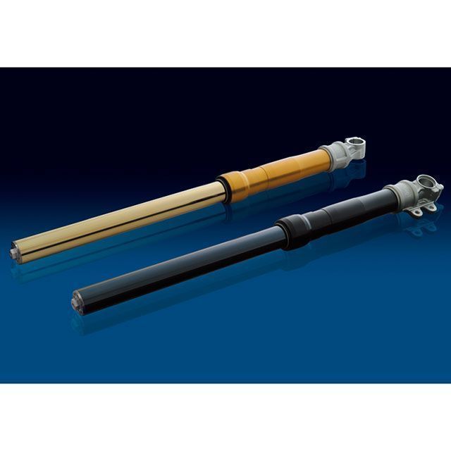 OHLINS BASICフロント正立フォーク(ブラック) FS651B オーリンズ フロントフォーク ZRX1200R/DAEG|パークアップ 店