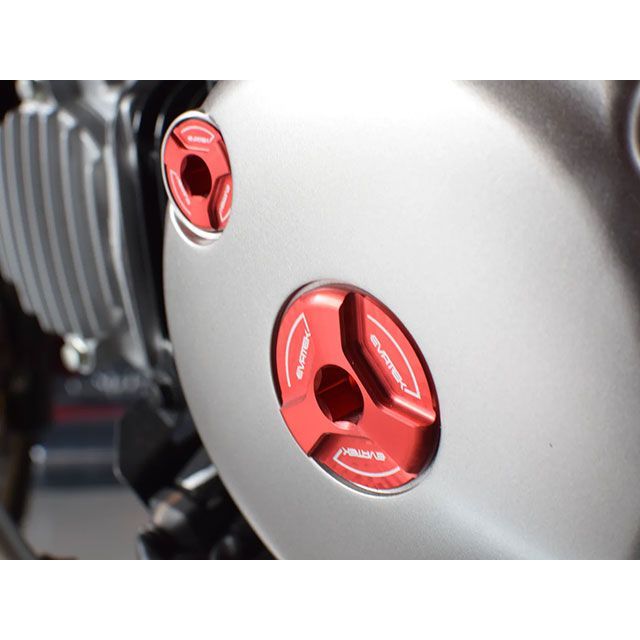 EVATEK ホールキャップセット ホンダ CT125 グロム他 カラー スレートグレー EVT-5122-SG エヴァテック その他フレーム関連パーツ