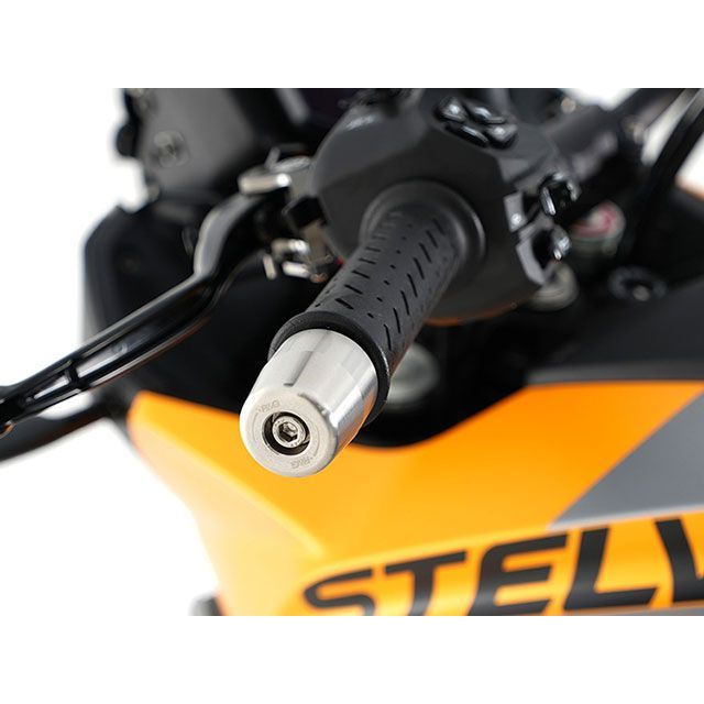 R&G ステンレスバーエンド RG-BE0228SS アールアンドジー ハンドル関連パーツ Stelvio