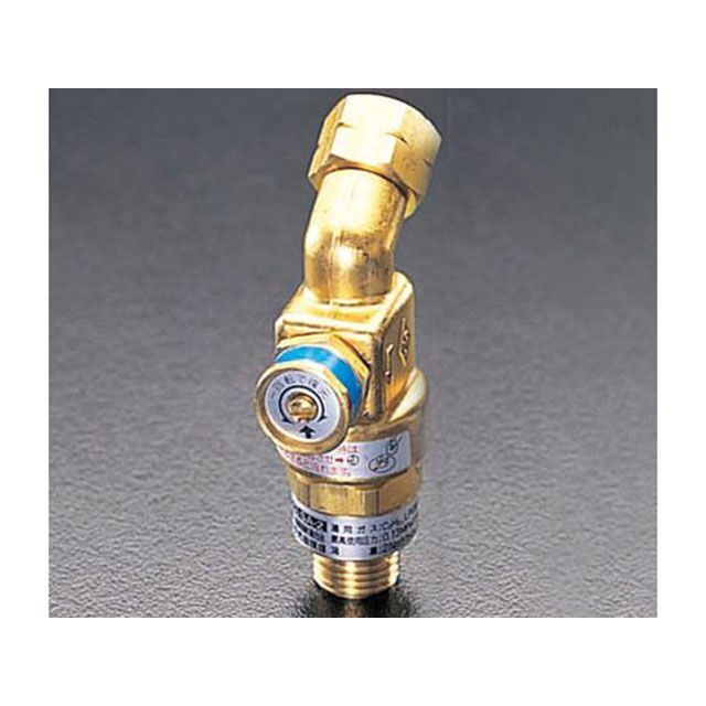 ESCO 乾式安全性のある器（逆火押しとどめる器/可燃性屁っ放り用） EA300-5 エスコ 制作室物の具