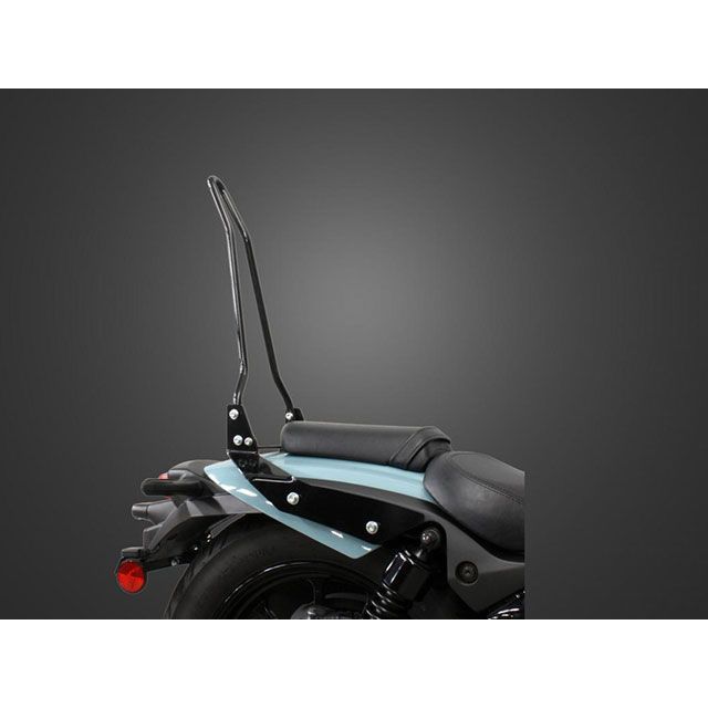 T&F エリミネーター400 純正フェンダー専用シーシーバーショート（ブラック） ・8051503 ガレージT&F シーシーバー｜パークアップ 店