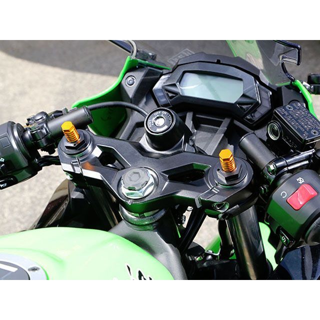 BABYFACE フロントフォークトップキャップ カラー ゴールド/シルバー 005-K0012SV ベビーフェイス フロントフォーク Ninja250SL