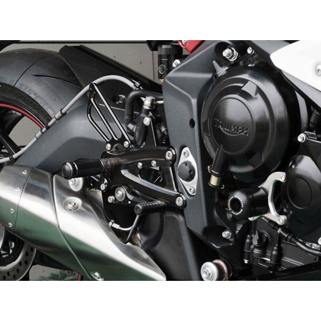 BABYFACE バックステップキット カラー シルバー 002-T006SV ベビーフェイス バックステップ関連パーツ DAYTONA 675R
