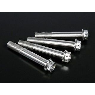 ZETA チタン キャリパーマウントボルト M10 P\u003d1.25 サイズ M10×65mm D6961 ジータ その他外装関連パーツ 汎用