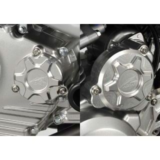 AGRAS カバーセット カラー シルバー 357-481-002S アグラス エンジンカバー関連パーツ D-TRACKER125|パークアップ 店