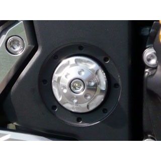 AGRAS アルミ削り出しピボットキャップ カラー レッド 359-479-000R アグラス その他サスペンションパーツ Z1000