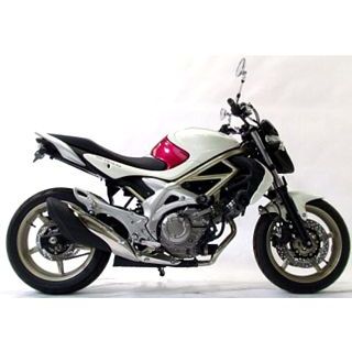 R&G エアロクラッシュプロテクター(ブラック) RG-CP0255BL アールアンドジー スライダー類 Gladius650|パークアップ 店