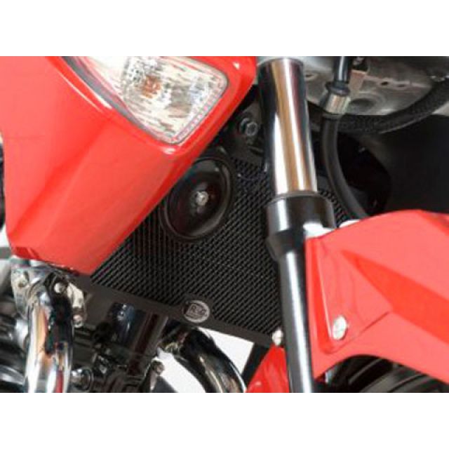 R&G ラジエターガード（ブラック） RG-RAD0143BK アールアンドジー ラジエター関連パーツ GSR250｜パークアップ 店
