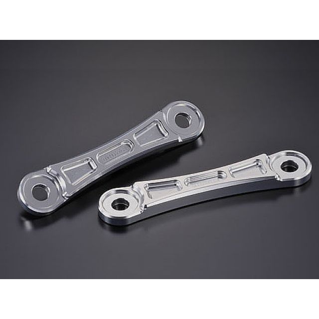 AGRAS リンクプレート 10mm 360-391-000 アグラス その他外装関連パーツ GSX1300R HAYABUSA｜パークアップ 店