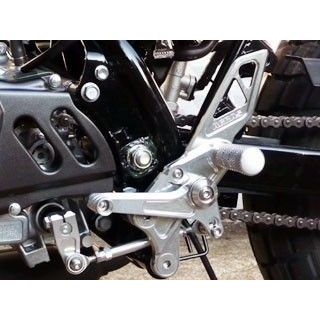 AGRAS バックステップキット 312-106-001 アグラス バックステップ関連パーツ APE100 Type-D
