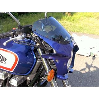 WW 汎用ビキニカウル DS-01 typeR（パールヘロンブルー） ds-01r-35 ワールドウォーク カウル・エアロ