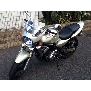 WW 汎用ビキニカウル DS-01 typeR（メタリックシャンパンゴールド） ds-01r-k3 ワールドウォーク カウル・エアロ