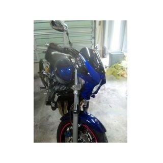 WW 汎用ビキニカウル DS-01 typeR（ダークパープリッシュブルーメタリックL） ds-01r-y1 ワールドウォーク カウル・エアロ XJR1300 XJR400R