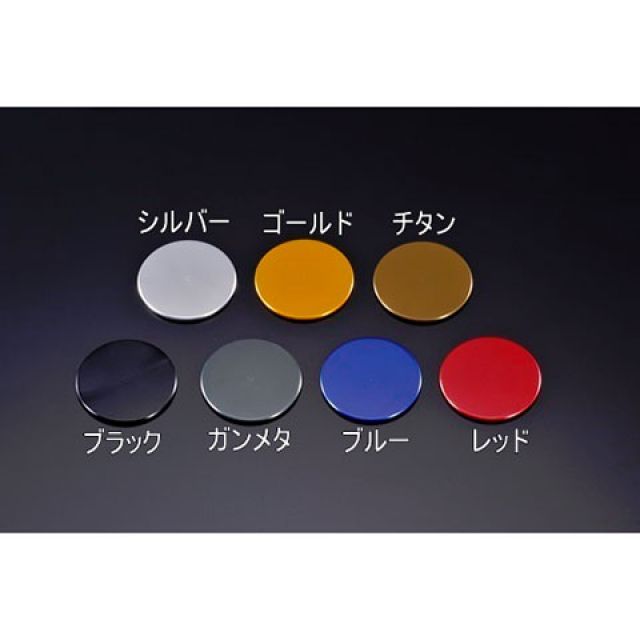 AGRAS チェーンガードFRP＆スタンドプレート カラー ゴールド 353-278-000G アグラス チェーン関連パーツ YZF-R6