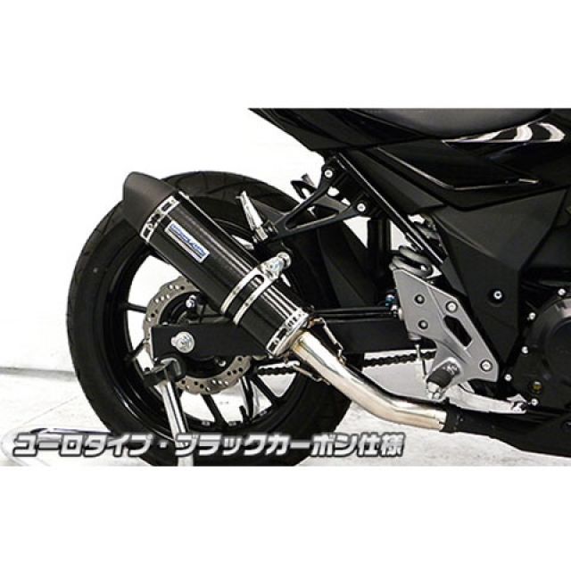WirusWin GSX250R用 スリップオンマフラー ユーロタイプ サイレンサー ブラックカーボン仕様 ウイルズウィン マフラー本体 GSX250R|パークアップ 店