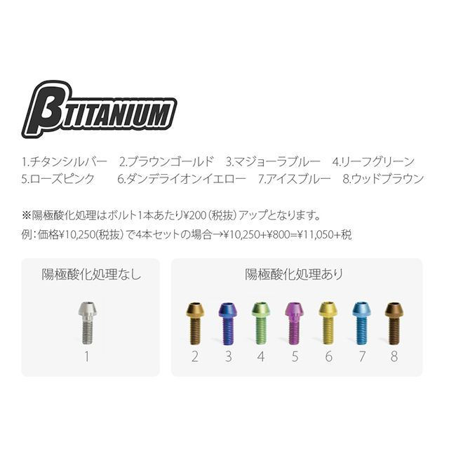 ギフト βTITANIUM ベータチタニウム ディスクローターボルト カワサキ