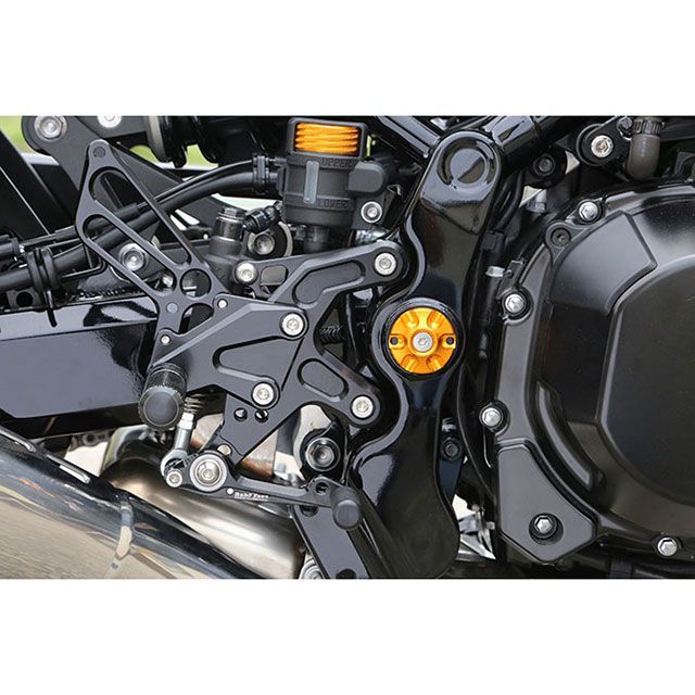 楽天市場】ベビーフェイス フレームキャップ Z900RS カラー ゴールド