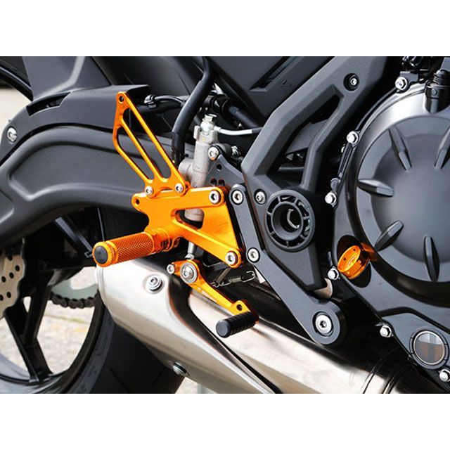 BABYFACE バックステップキット カラー ゴールド 002-K031GD ベビーフェイス バックステップ関連パーツ Ninja650 44,355円