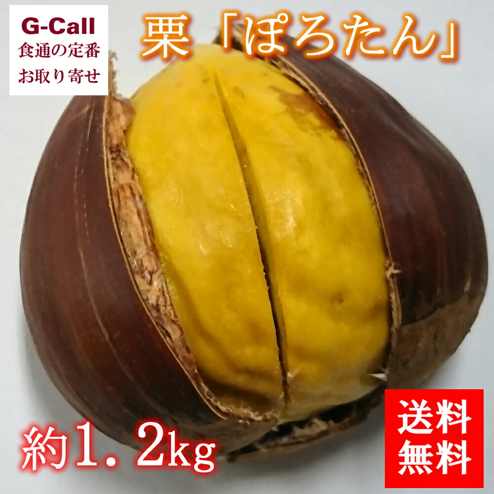 楽天市場 送料無料 茨城 熊本産 栗 ぽろたん 約1 2kg 2 3l 40 50粒 くり 旬 秋 大粒 国産 果物 G Call 食通の定番 お取り寄せ