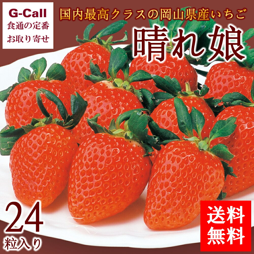 送料無料 岡山産いちご 晴れ娘 24粒 化粧箱入り 果物 フルーツ イチゴ 最高級 岡山県 産地直送 贈答 ギフト お祝い プレゼント 国内最高クラスの岡山県産いちご 晴れ娘 は独自開発の栽培管理手法をもとに栽培した Painandsleepcenter Com