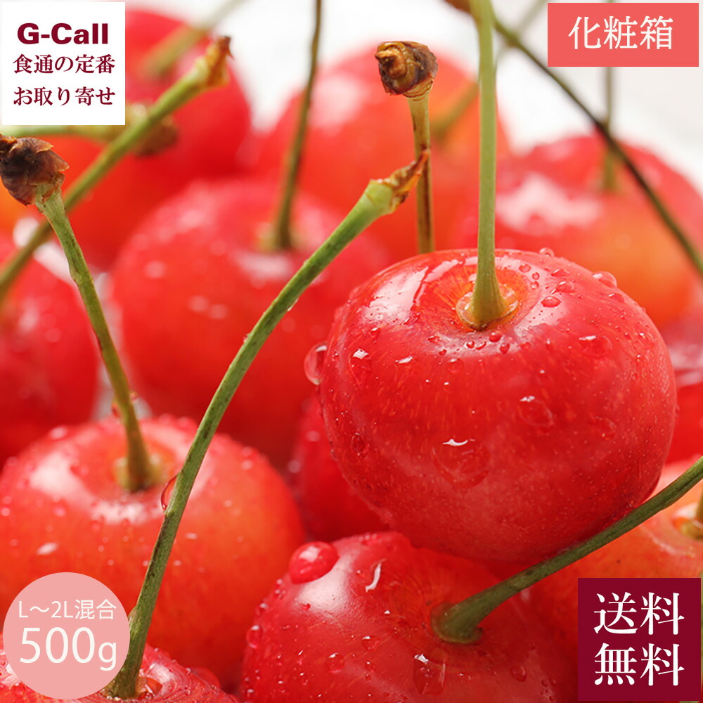 北海道増毛町産 佐藤錦/紅秀峰 L～2L混合 500g 化粧箱 7月中旬～8月中旬出荷 送料無料 さくらんぼ サクランボ 果物 高糖度 贈答 旬のフルーツ ギフト 産地直送