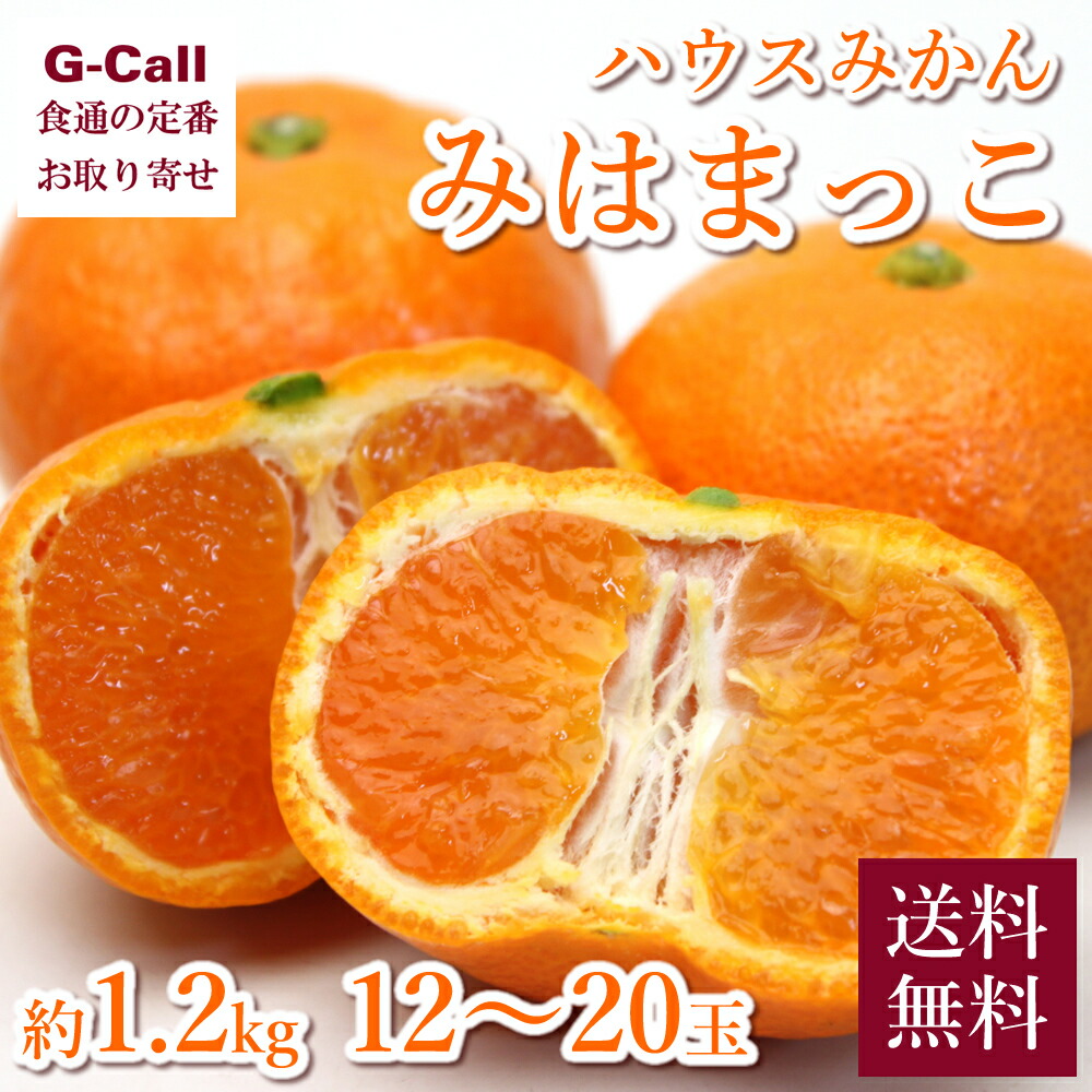 楽天市場】愛知県産 ハウスみかん みはまっこ 約1.2kg 12〜20玉前後